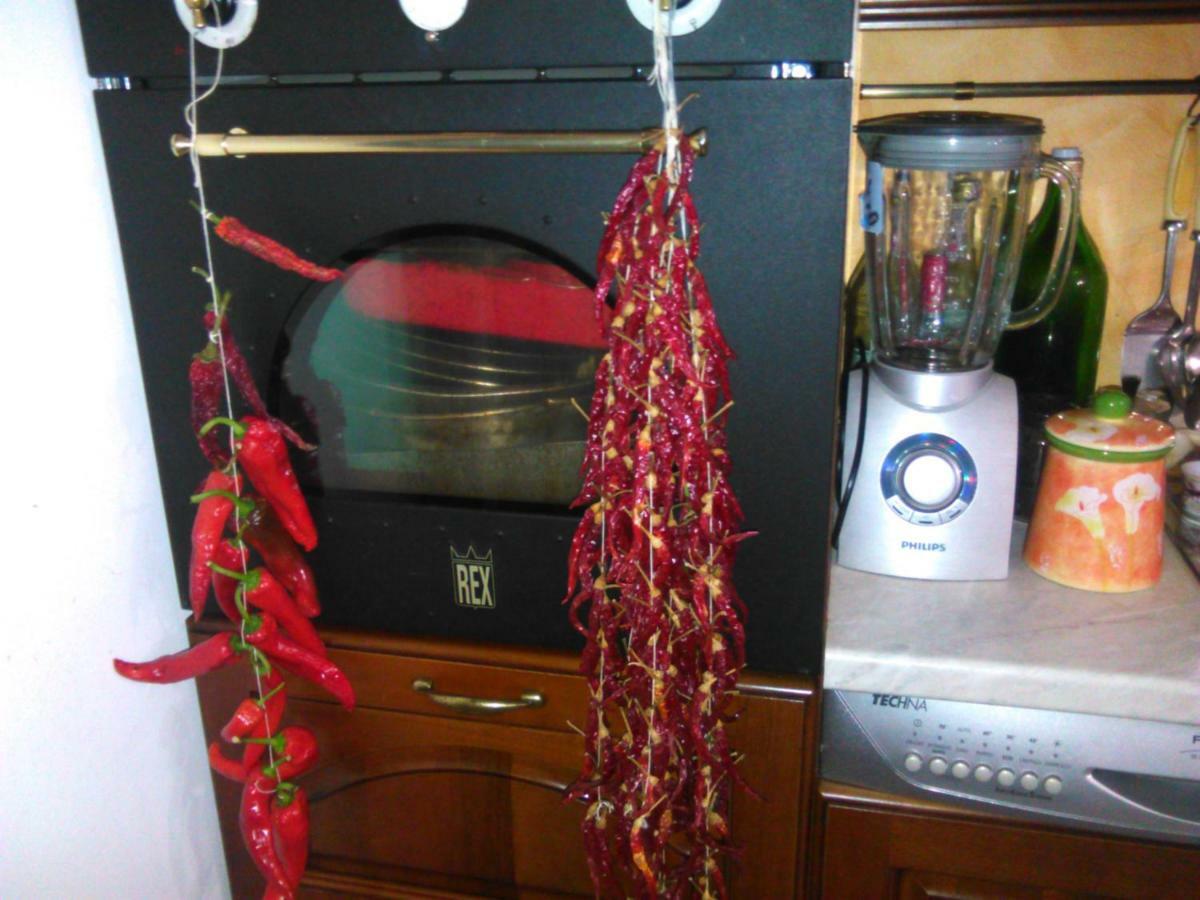 L'Oasi Bed and Breakfast Auletta Εξωτερικό φωτογραφία